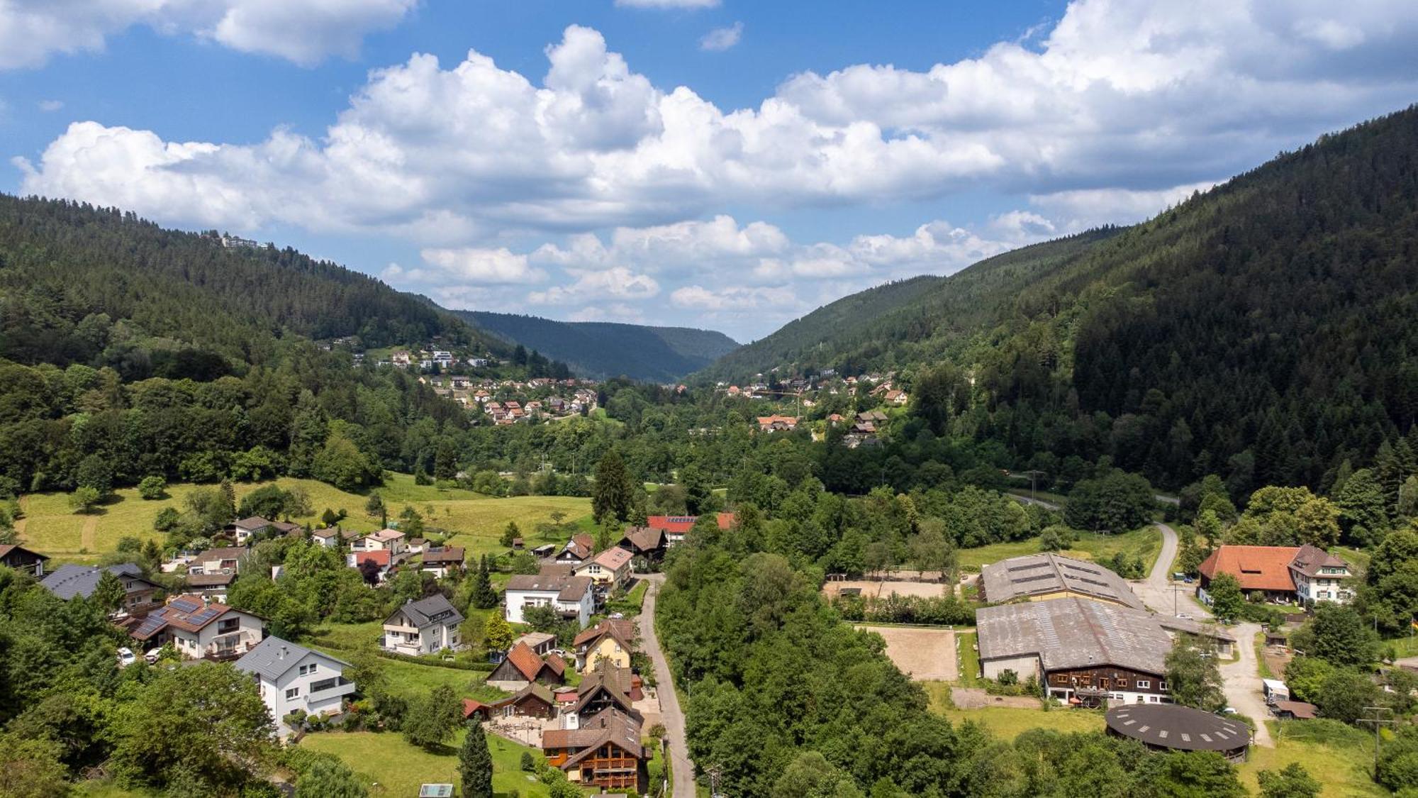 Black Forest Design Apartment Bad Wildbad Exterior foto